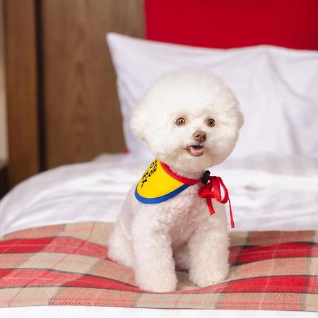 Kensington Resort Seorak Valley Sokcho Bagian luar foto