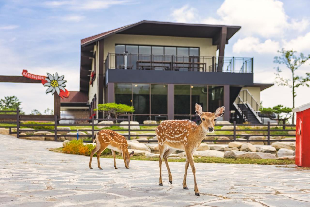 Kensington Resort Seorak Valley Sokcho Bagian luar foto