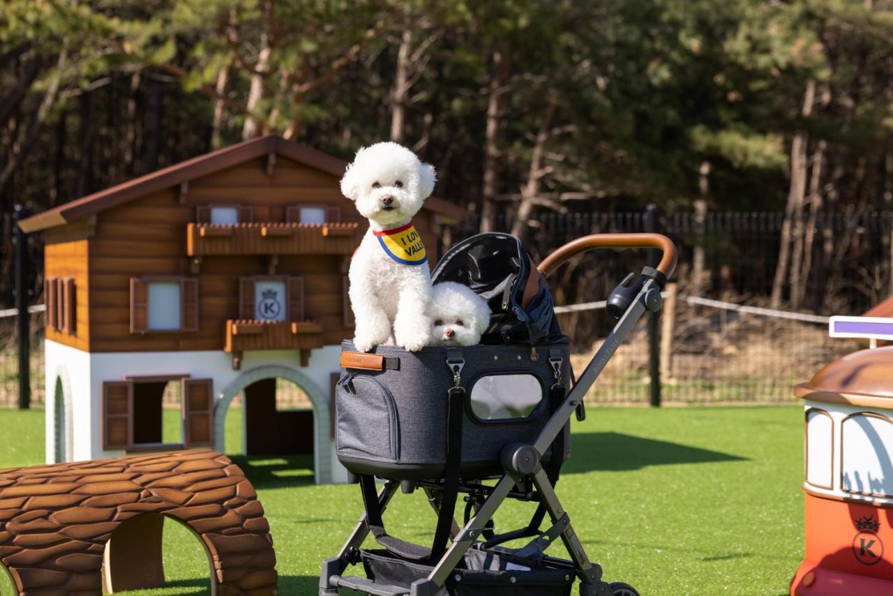 Kensington Resort Seorak Valley Sokcho Bagian luar foto