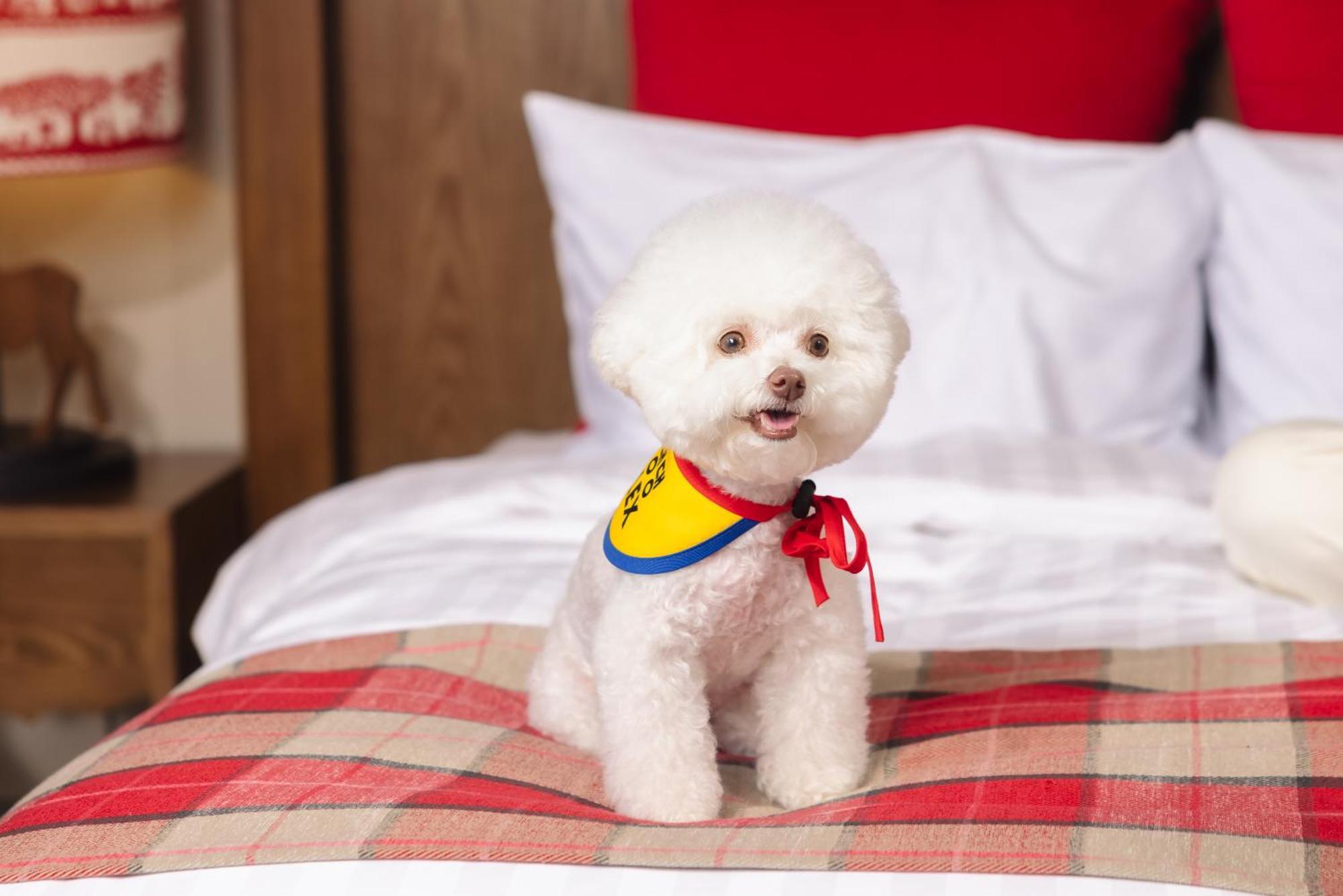 Kensington Resort Seorak Valley Sokcho Bagian luar foto