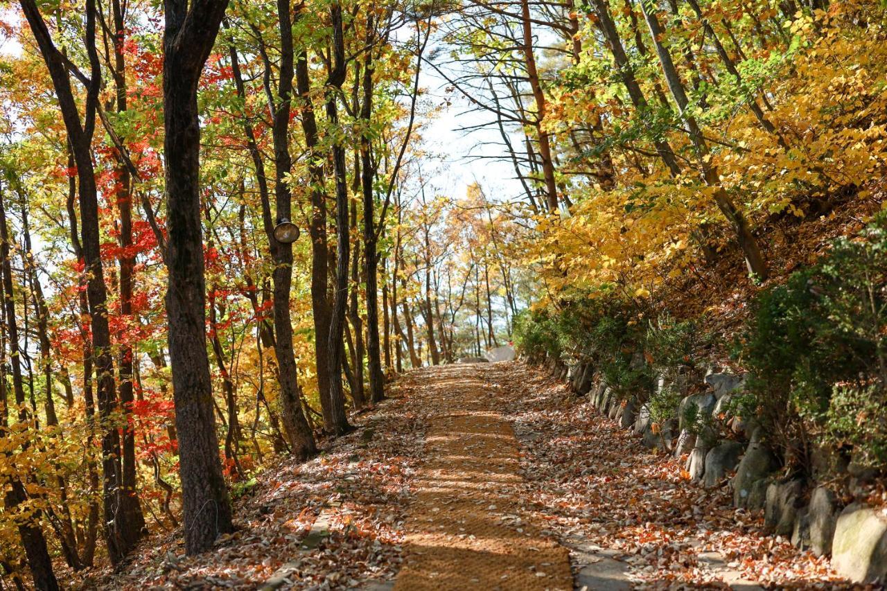 Kensington Resort Seorak Valley Sokcho Bagian luar foto