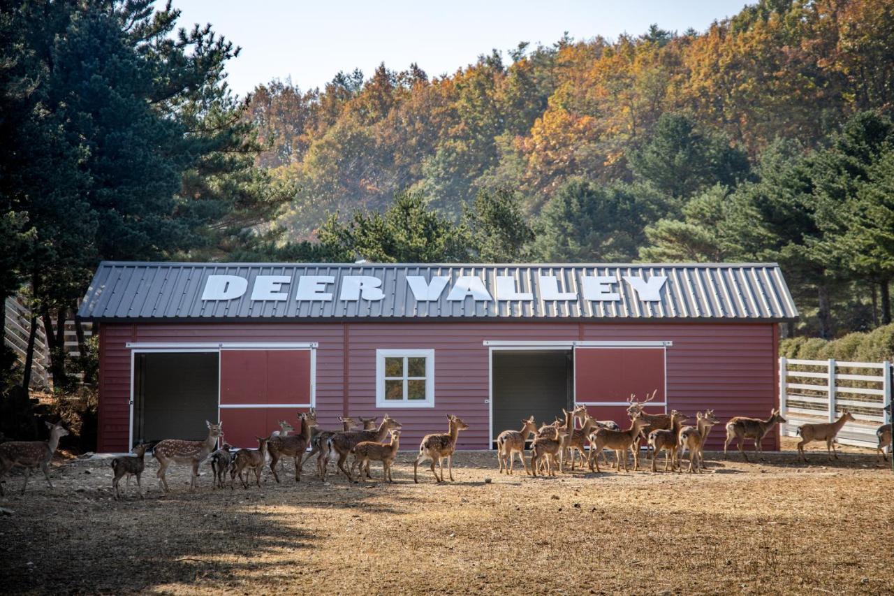 Kensington Resort Seorak Valley Sokcho Bagian luar foto